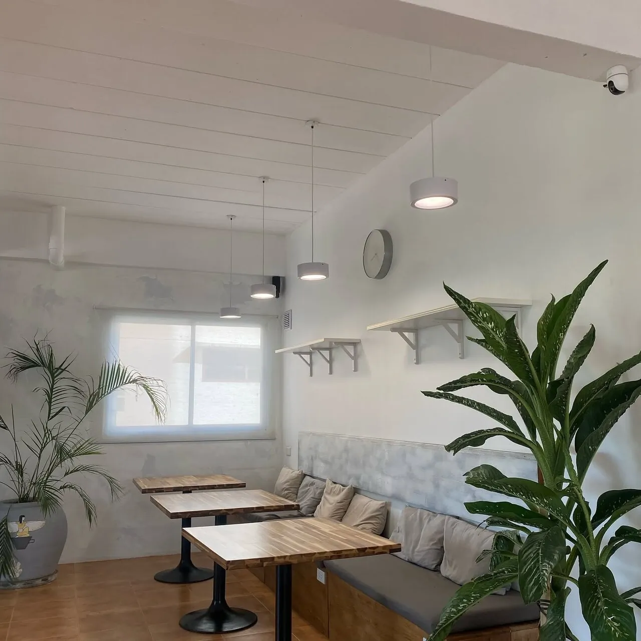 Bench seating and wooden tables along the wall at Dots Coffee